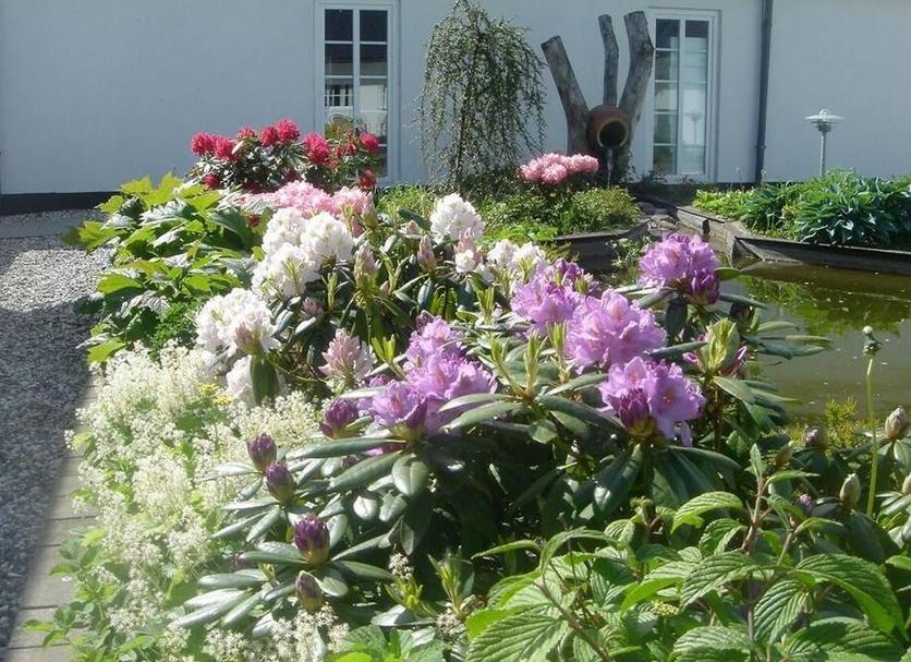Buiten zicht Foto's