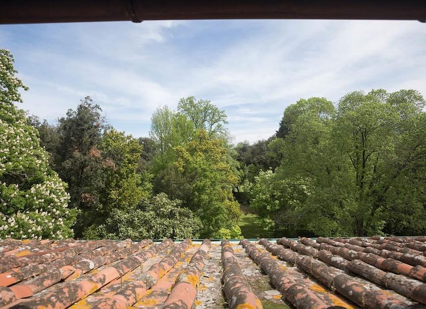 Buiten zicht Foto's