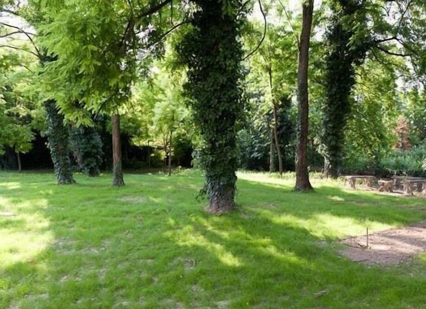Buiten zicht Foto's