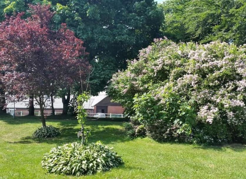 Buiten zicht Foto's