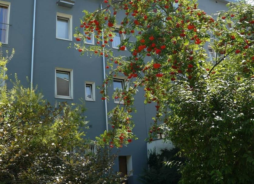 Buiten zicht Foto's
