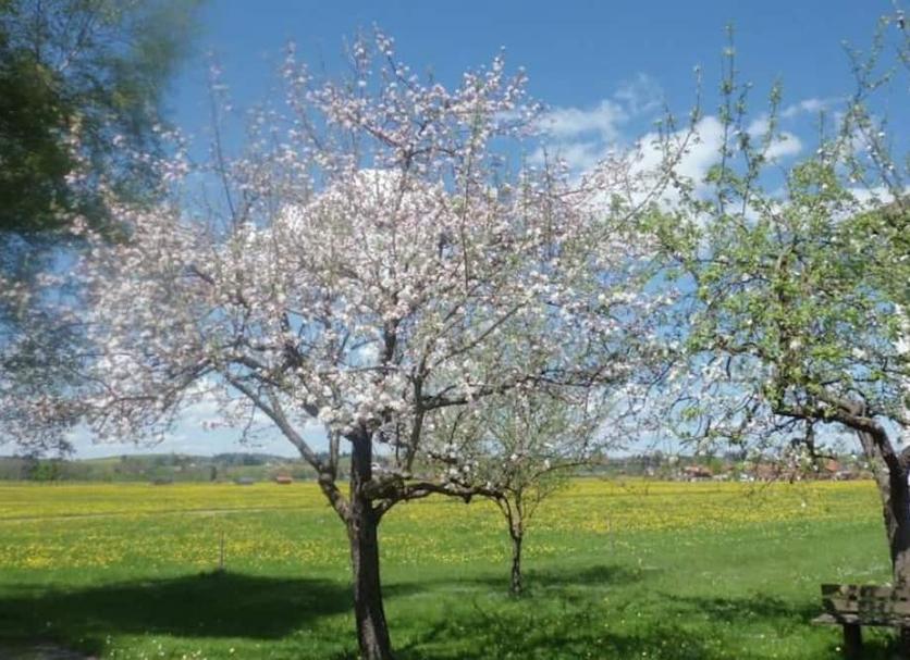 Buiten zicht Foto's