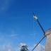 Andere