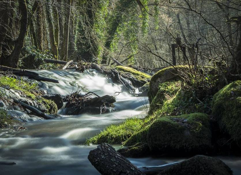 Buiten zicht Foto's