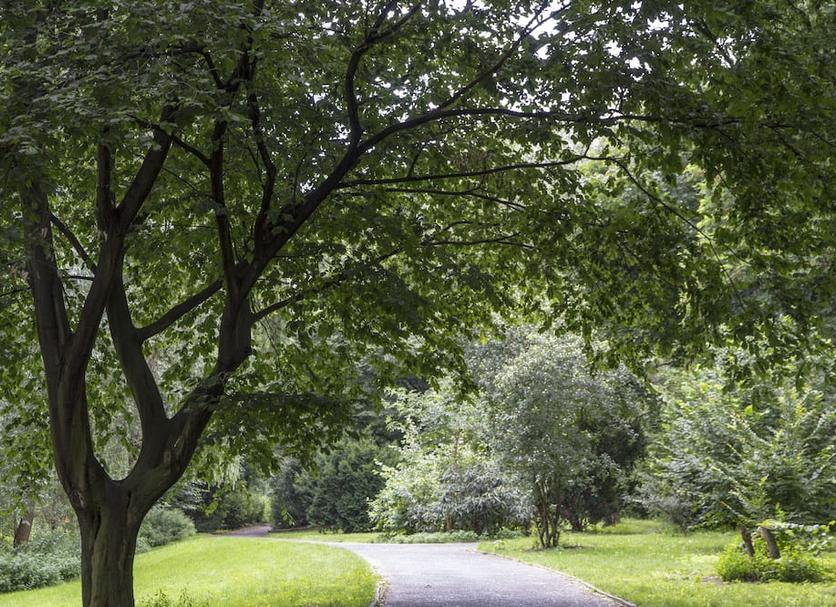 Buiten zicht Foto's