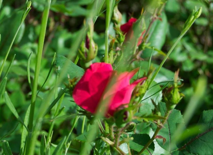 Buiten zicht Foto's