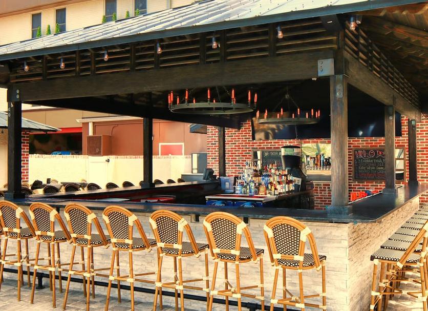 Bar Foto's