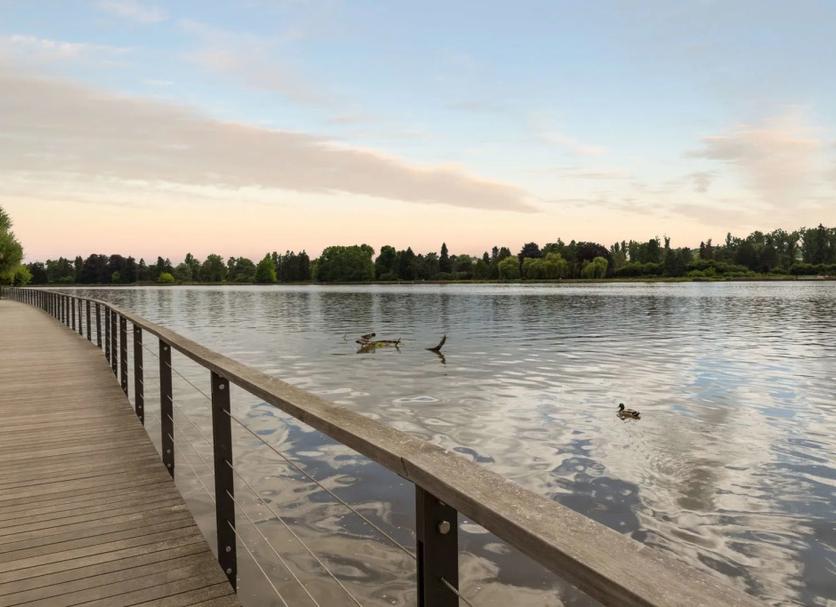 Buiten zicht Foto's