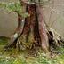 Andere
