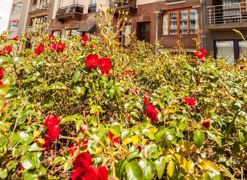 Buiten zicht Foto's