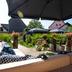 Andere