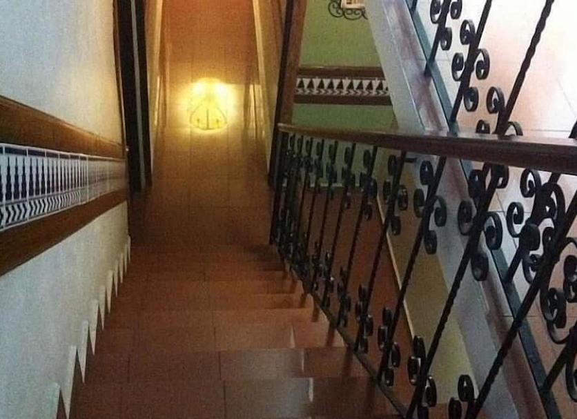 Trappen Foto's