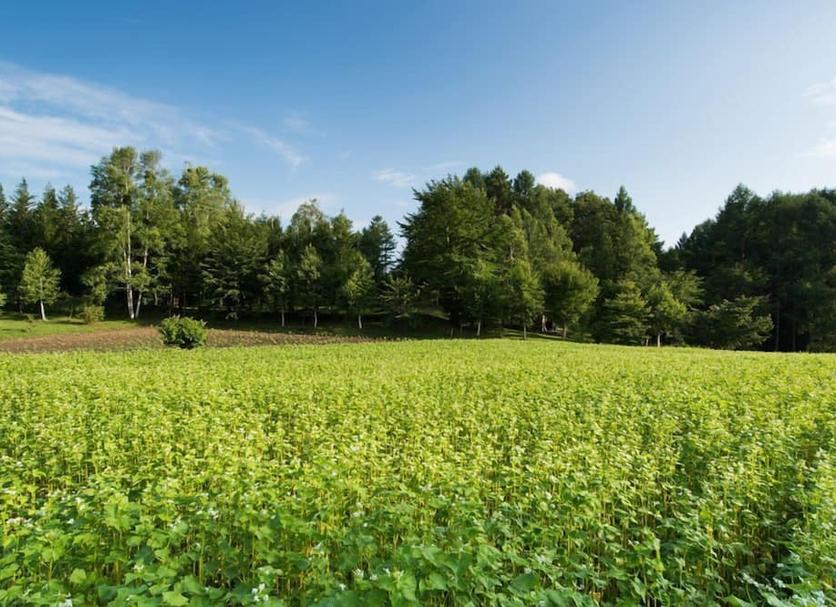 Buiten zicht Foto's