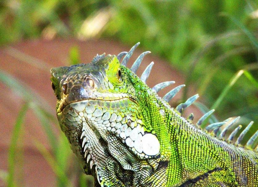 Andere Foto's