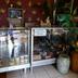 Winkel