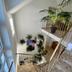 Trappen