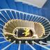Trappen