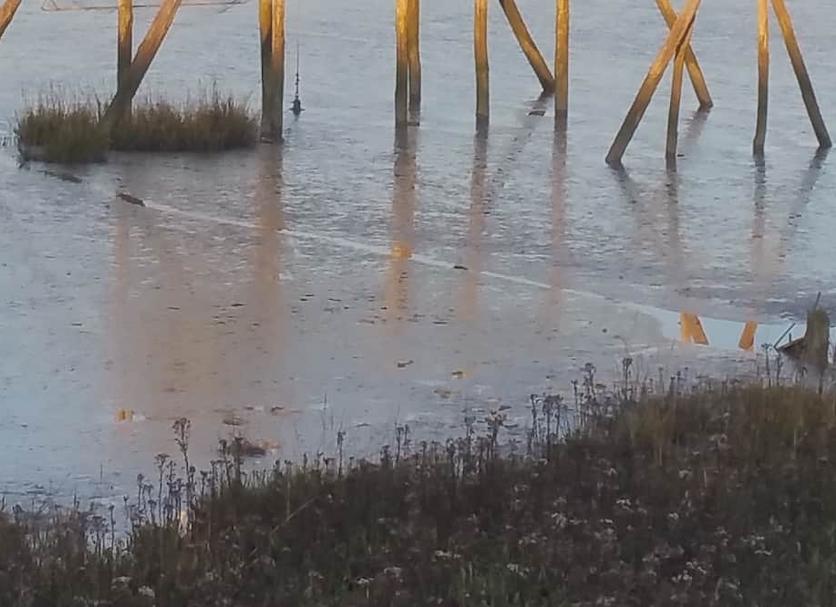 Buiten zicht Foto's