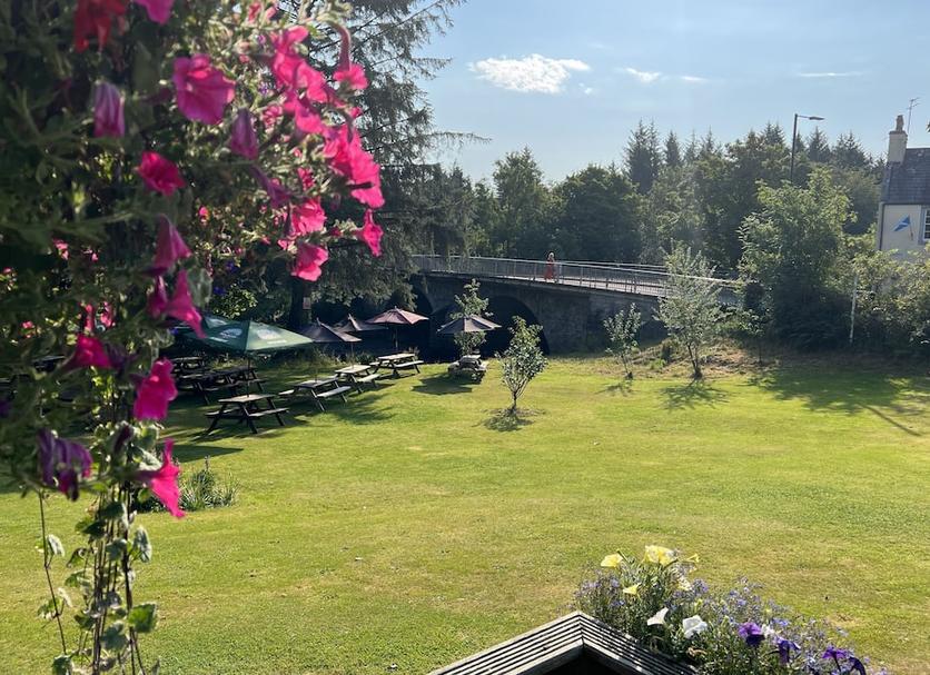 Buiten zicht Foto's