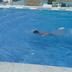 Andere