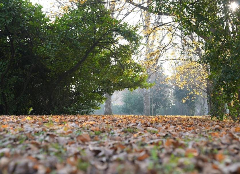 Buiten zicht Foto's