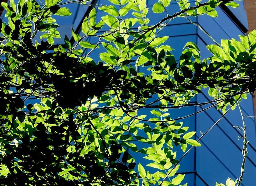 Buiten zicht Foto's