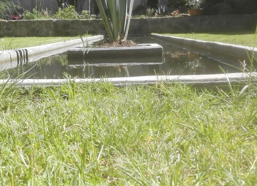 Buiten zicht Foto's
