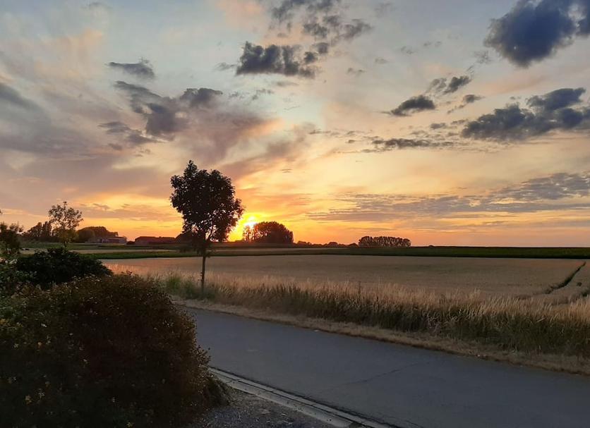 Buiten zicht Foto's