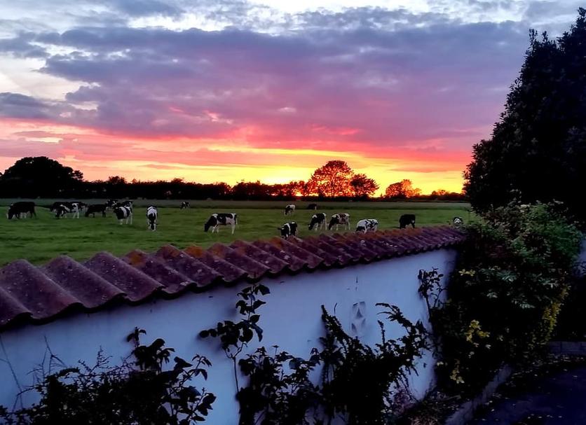Buiten zicht Foto's