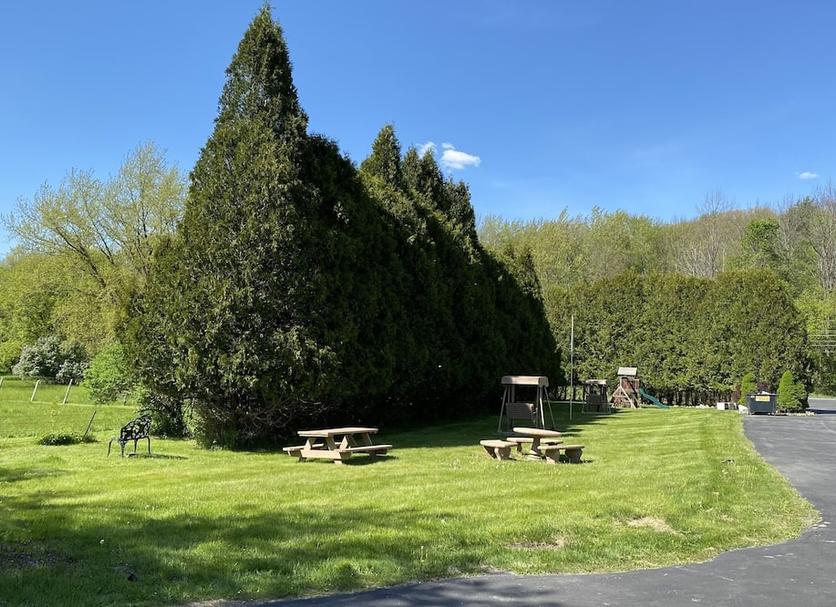Buiten zicht Foto's