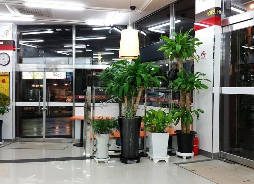 Lobby Foto's