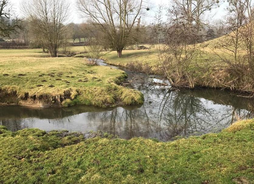 Buiten zicht Foto's