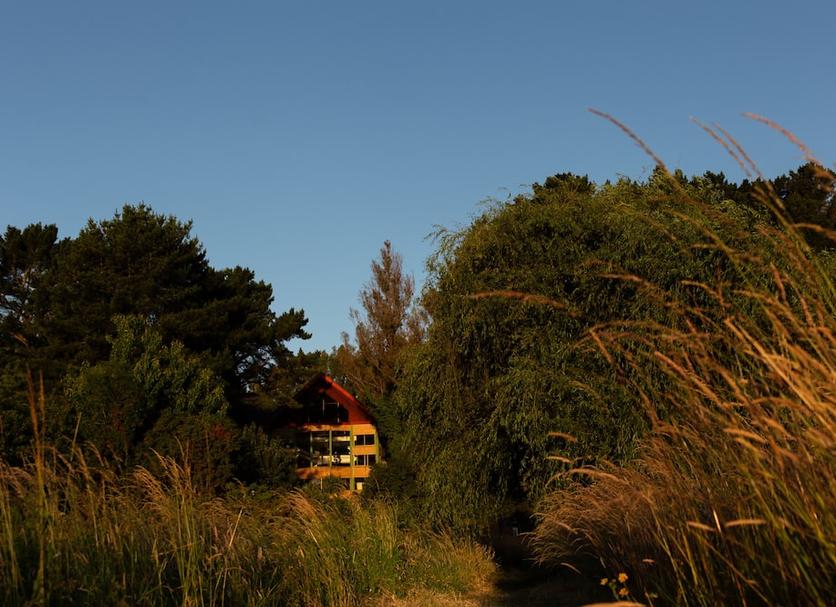 Buiten zicht Foto's