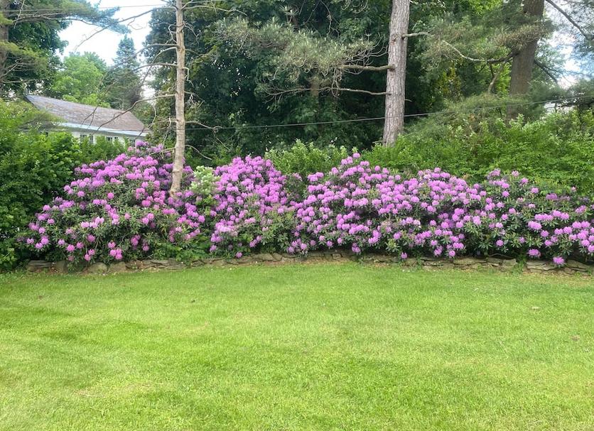 Buiten zicht Foto's