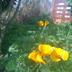 Andere
