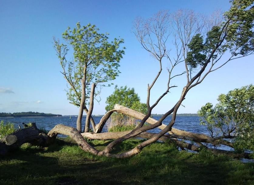 Buiten zicht Foto's