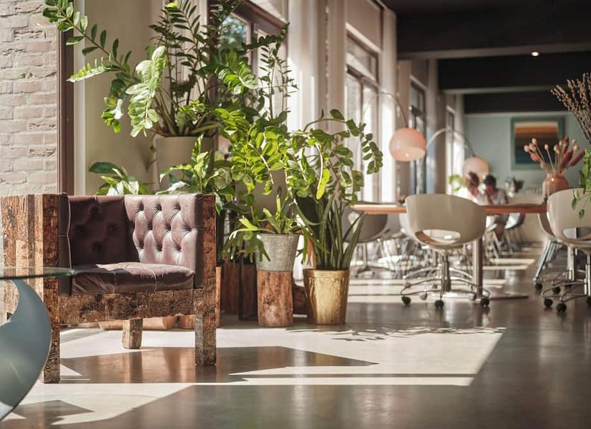 Lobby Foto's