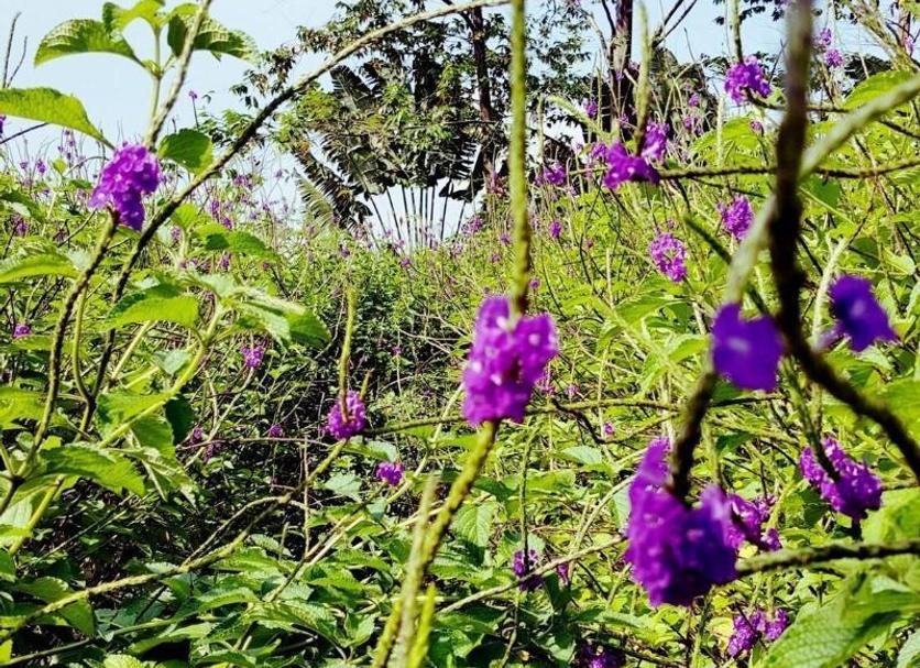 Buiten zicht Foto's