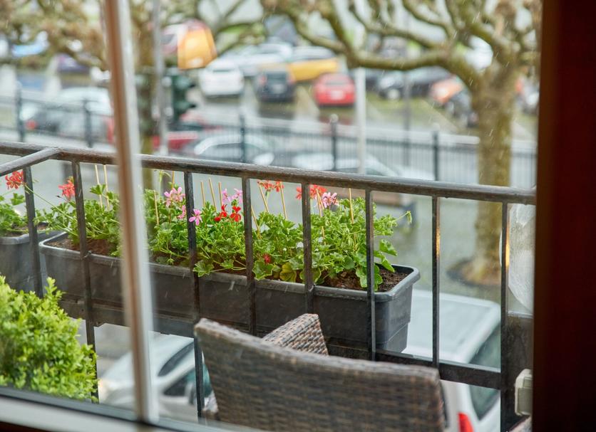 Balkon Foto's