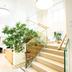 Trappen