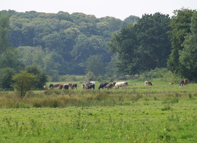 Buiten zicht Foto's