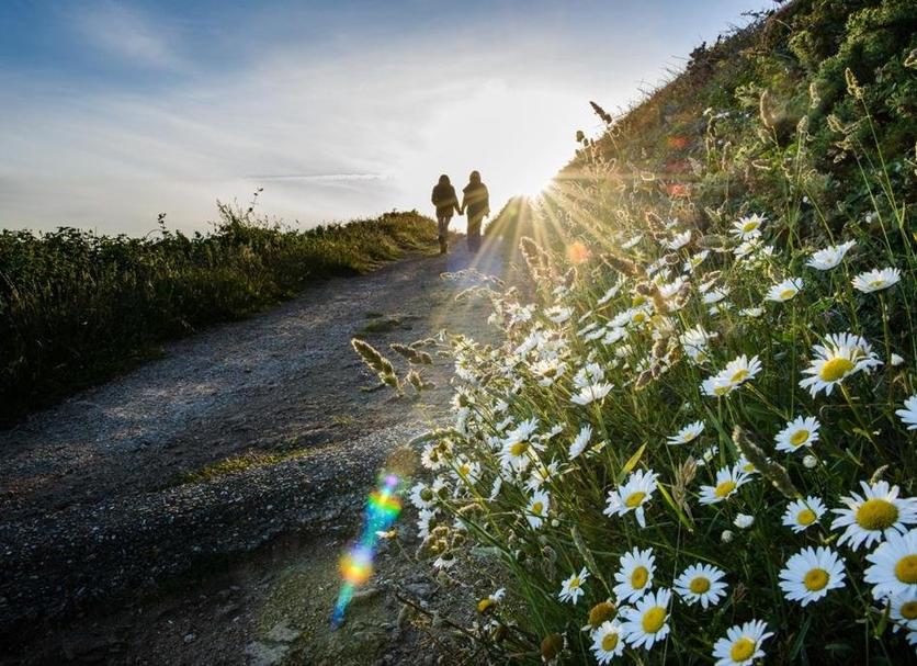 Buiten zicht Foto's