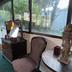Andere