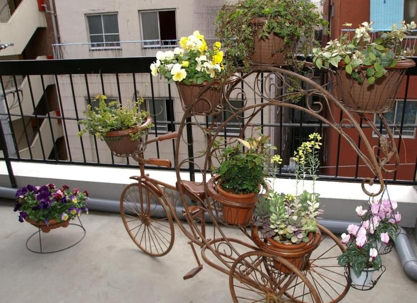 Balkon Foto's