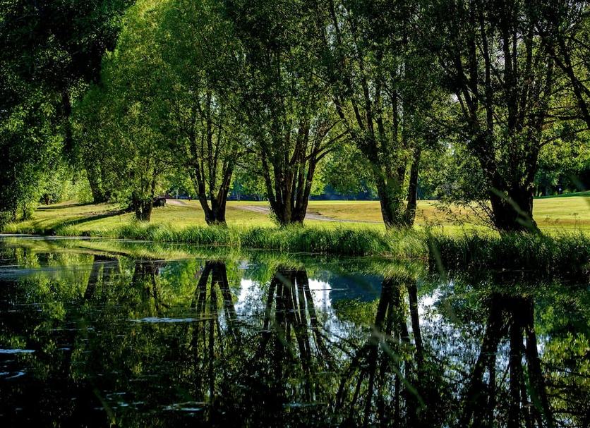 Buiten zicht Foto's
