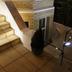 Trappen
