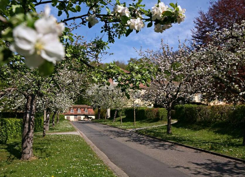 Buiten zicht Foto's