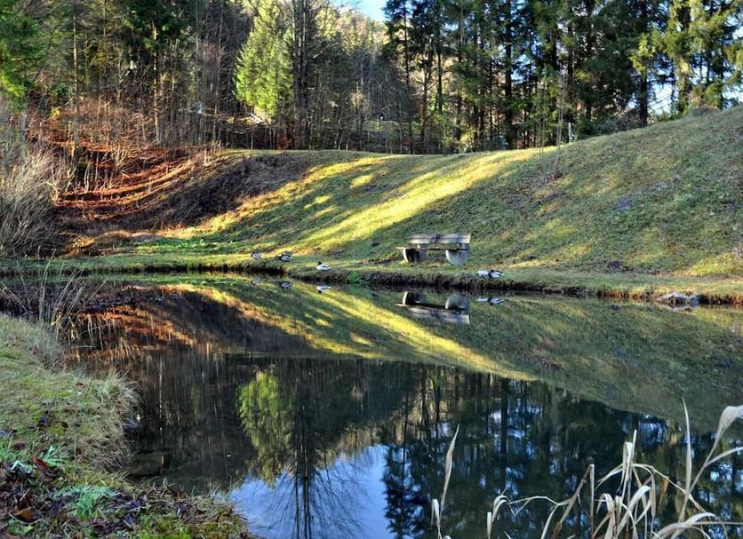 Buiten zicht Foto's