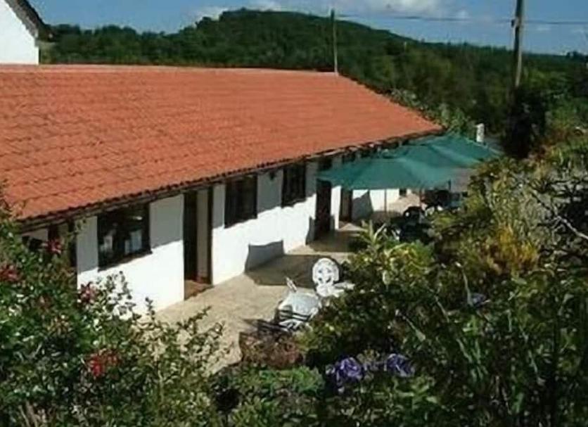 Buiten zicht Foto's