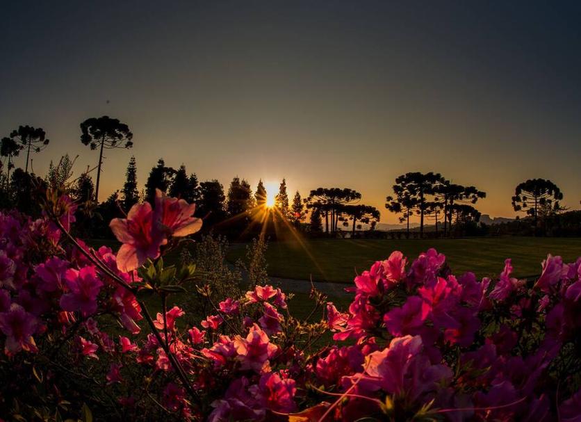 Buiten zicht Foto's